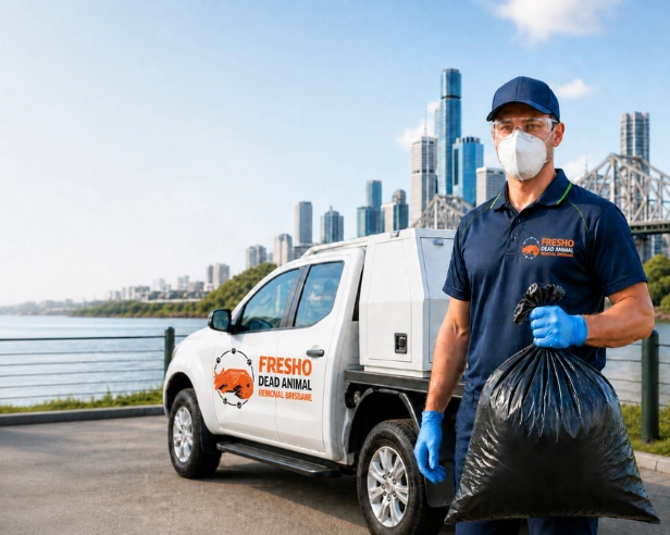 Professional Dead Animal Removal Service Van